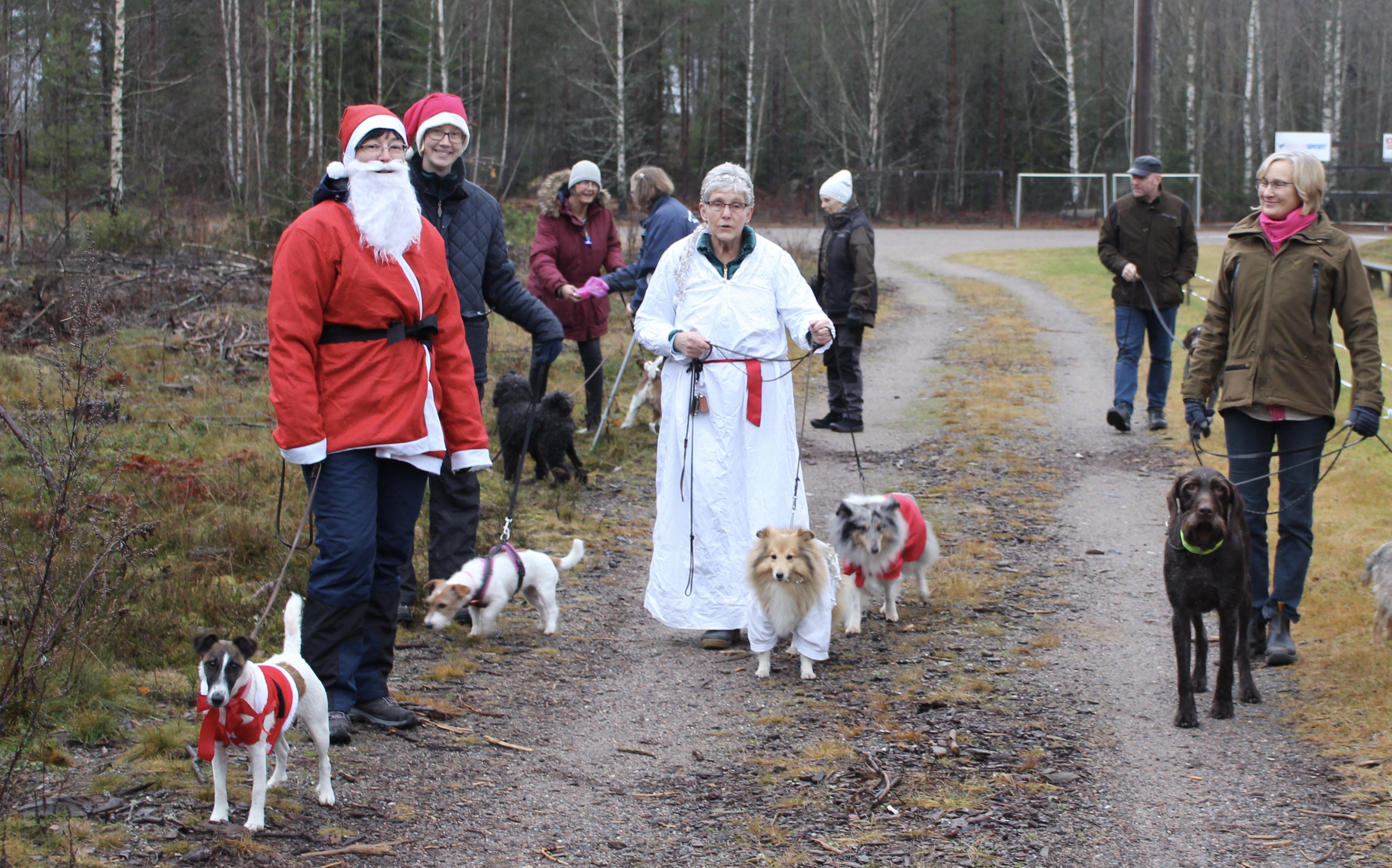 Lucia på Lovisedal söndag 15/12 kl 10-12